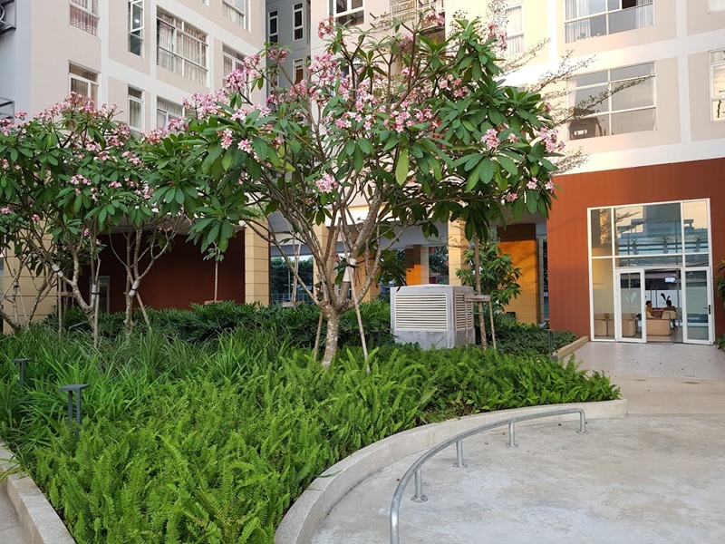 Lối dạo bộ valeo đầm sen